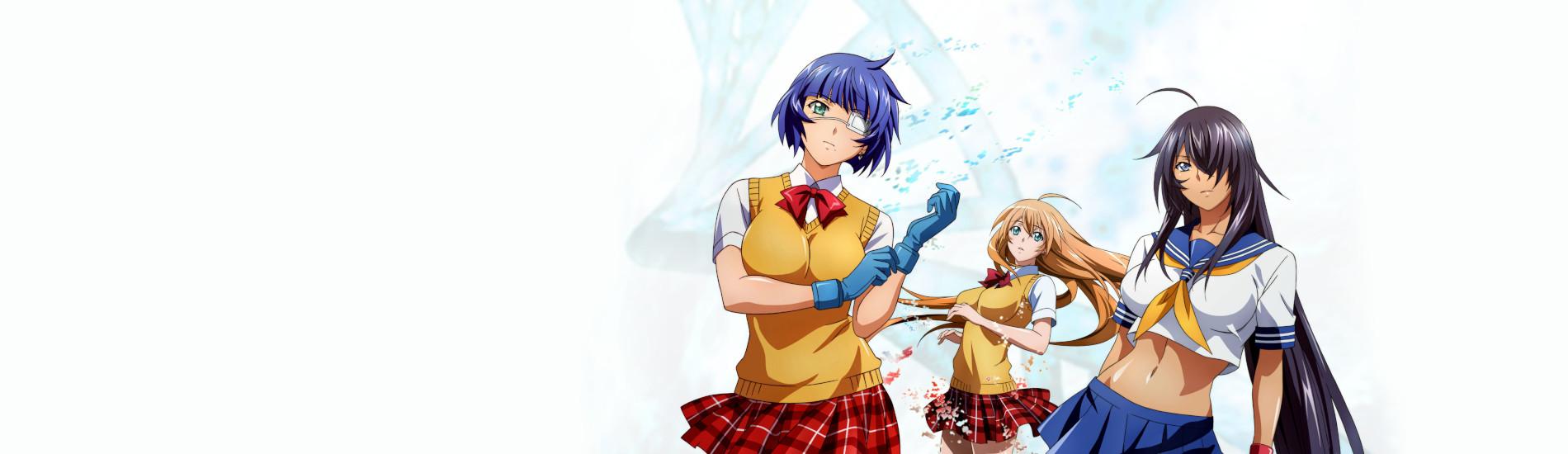 Key art for Ikkitousen: Western Wolves